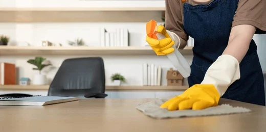 Cleaning Specialist using Spray